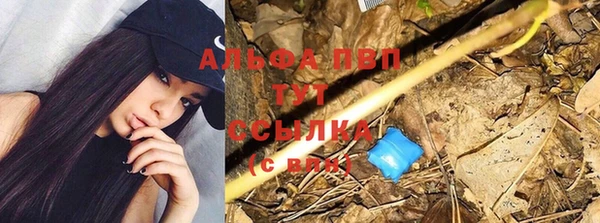 молекула духа Беломорск