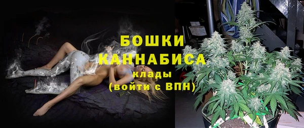 тгк Белокуриха